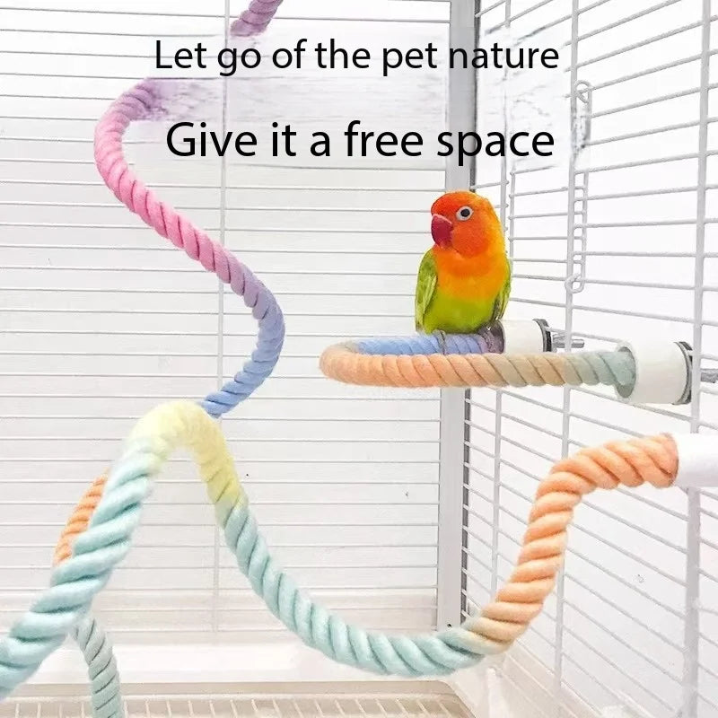 Colorful Climbing Bird Swing Perch